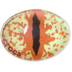 Crocs - Hazel Animal Eye Jibbitz™ charms Women|Men|Jibbitz™ Charms