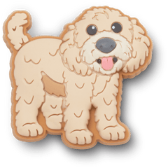 Crocs - b'Golden Doodle Puppy Jibbitz Shoe Charm' Women|Men|Jibbitz™ Charms