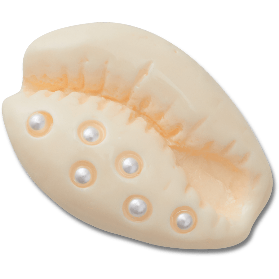 Crocs - Pearl Puka Shell Jibbitz™ charms Women|Men|Jibbitz™ Charms