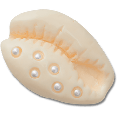 Crocs - Pearl Puka Shell Jibbitz™ charms Women|Men|Jibbitz™ Charms