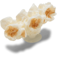 Crocs - Realistic Popcorn 2 Jibbitz™ charms Women|Men