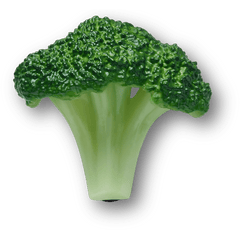 Crocs - Realistic Broccoli Jibbitz™ charms Women|Men|Jibbitz™ Charms